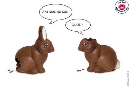 lapin